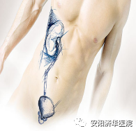 夏天如何预防尿结石病